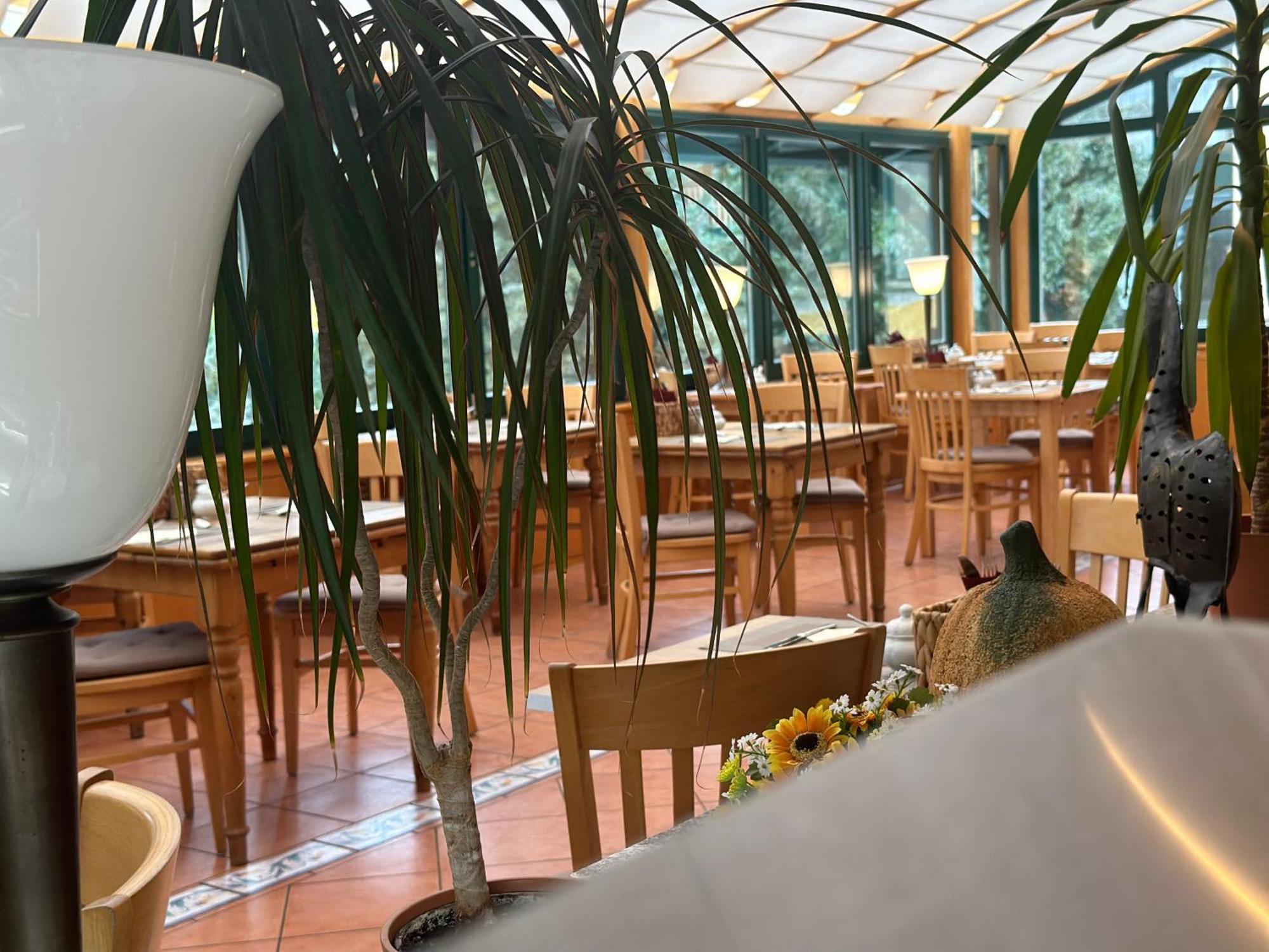 Landhotel Harz Thale Dış mekan fotoğraf