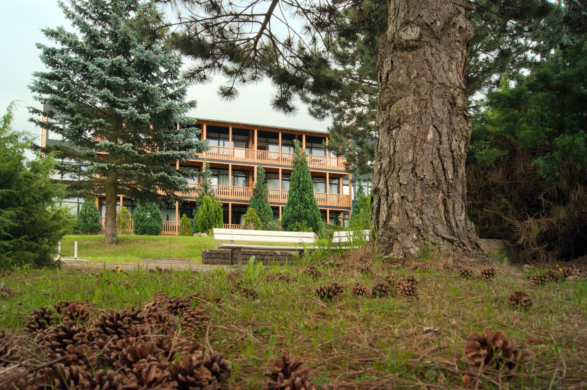 Landhotel Harz Thale Dış mekan fotoğraf